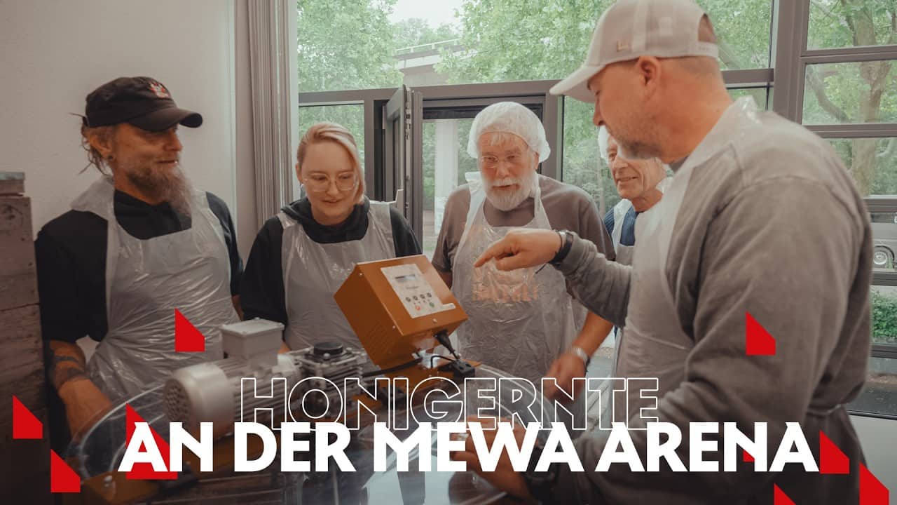 Honigernte an der MEWA Arena | 1. FSV Mainz 05 | #05ertv | Saison 2026/27