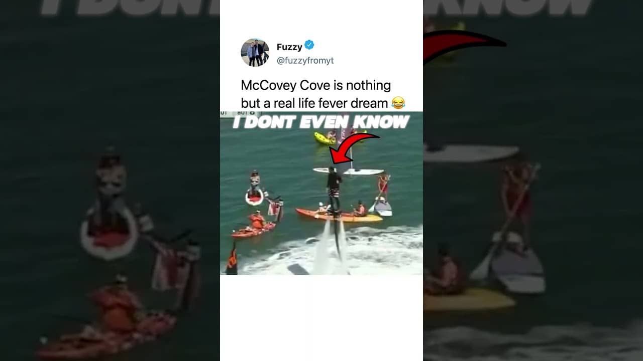 this place is not real 🤣