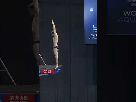 Noah Williams' Stunning 10m Platform Dive at World Aquatics 2024