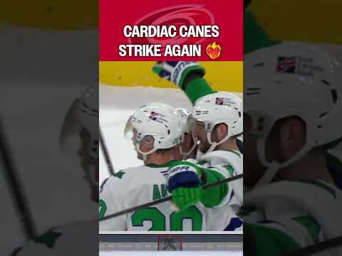 Cardiac Canes Doing Cardiac Things ❤️‍🔥😮‍💨