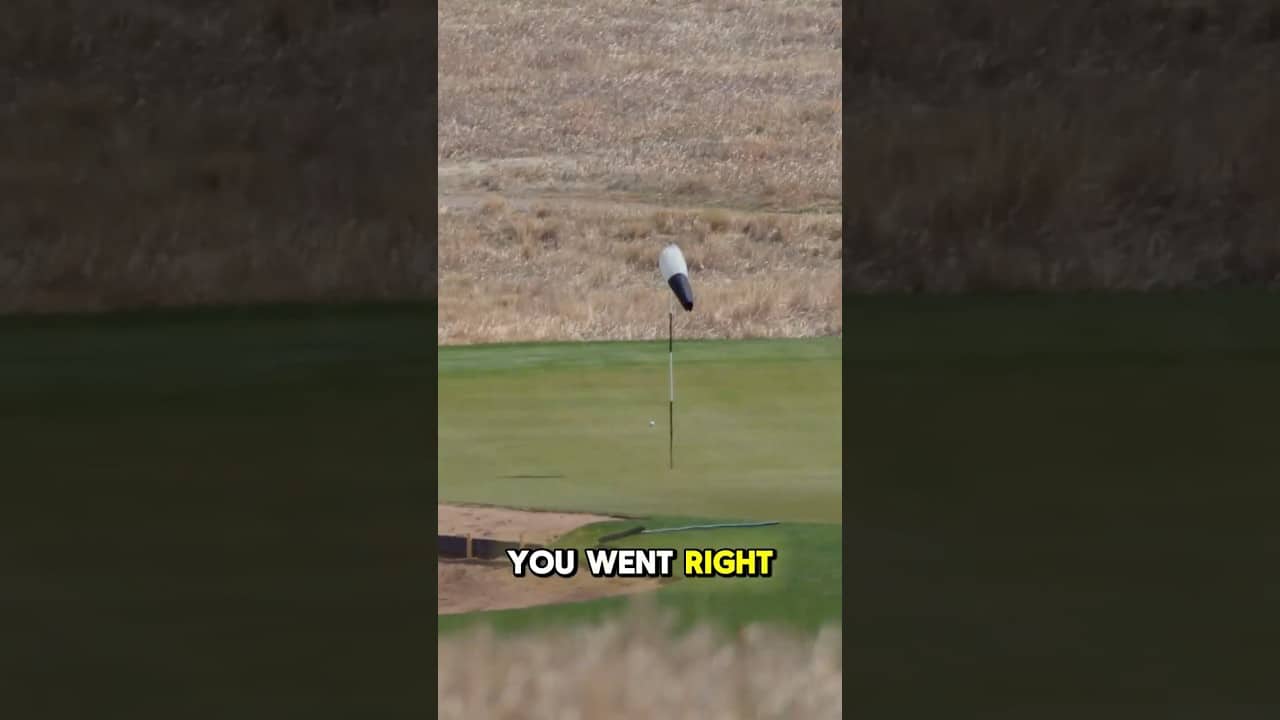 Sorry boss, I can’t lie