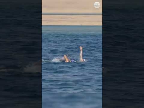 🇩🇪 Florian Wellbrock Surprises with Backstroke Mid-10km Win! 🏊 #openwaterswim