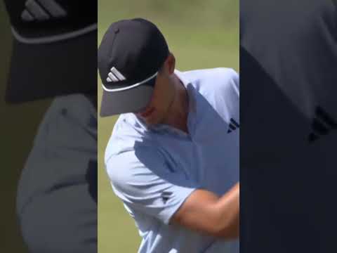 Ludvig Aberg enjoying the nature on the way to par 😅