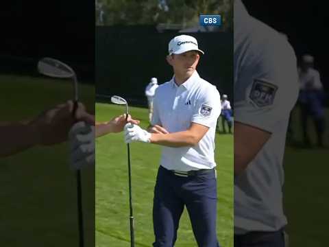 Bridgeman, the BIRDIE-man🐦