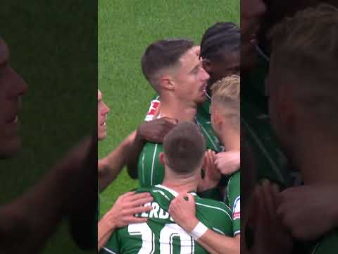 O CAPTIAN, MY CAPTAIN 🫡 #svw #bundesliga #werderbremen