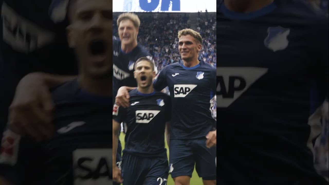 🥶🐐  #hoffenheim  #tsg #bundesliga #andrejkramaric
