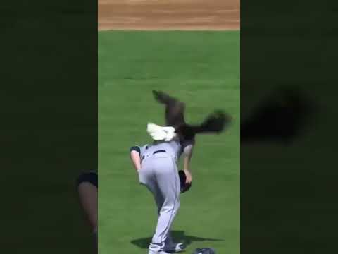 That time a BALD EAGLE landed on James Paxton 😱🦅