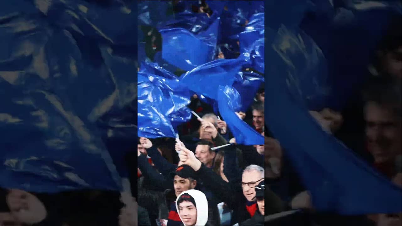 𝑹𝒆𝒅&𝑩𝒍𝒖𝒆 feed reset 🔴🔵