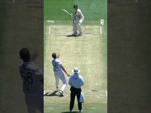 Steve Smith vs everyone 😂 #Ashes