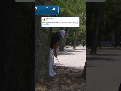 Hates that tree 😅