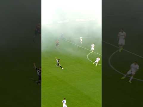 WAS NE BUDE! 💥 Nordtveit mit dieser Fakel gegen den FC Zürich 🔙 #OnTheDay #diefohlen