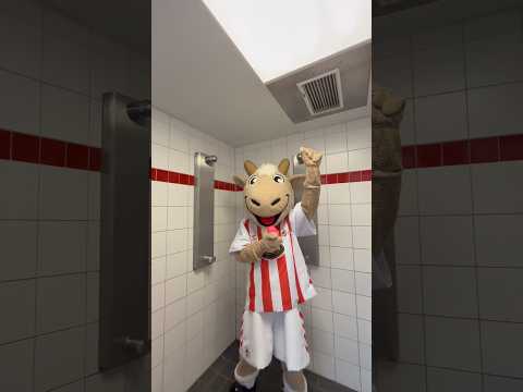 Dancing in the mirror 💃🪞 and singing in the shower 🎤🚿 #effzeh