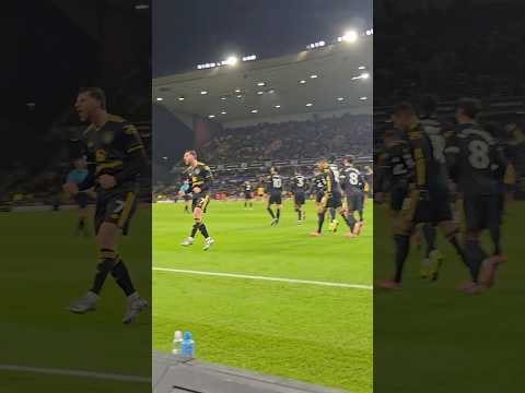 Mason Mount's Volley At Wolves Filmed Pitchside 🤳❤️‍🔥
