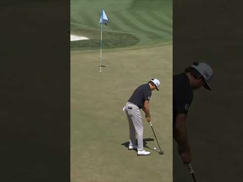 That ball crawled 🪱 into the hole ⛳!