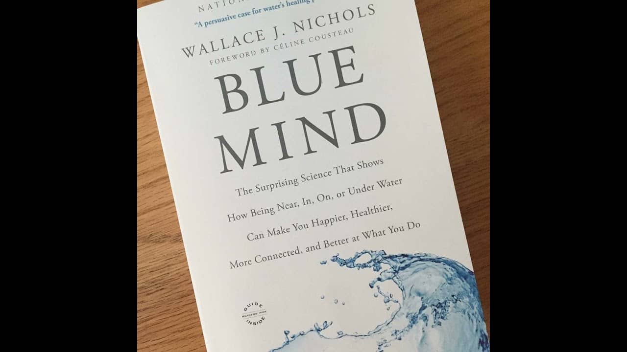 Dr. Wallace J. Nichols on Blue Mind