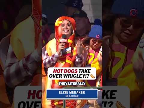 We've entered the hot dog multiverse in Chicago 🌭