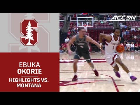 Stanford Guard Ebuka Okorie Highlights vs. Montana