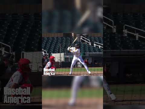 Esmerlyn Valdez SLO-MO home run swing #mlbprospects