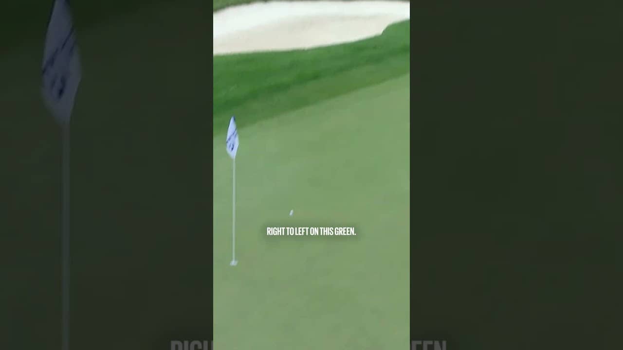 PERFECT way to set up birdie! 😍