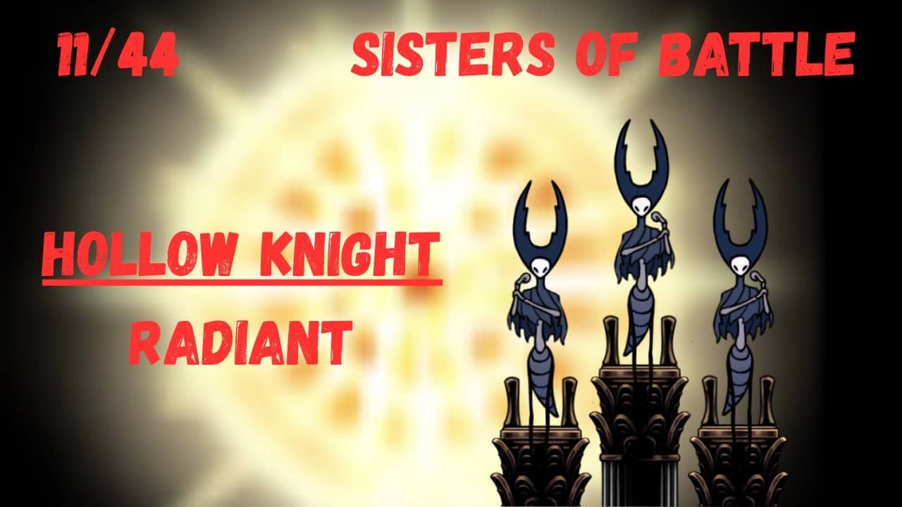 Hollow Knight | Sisters of Battle | Radiant