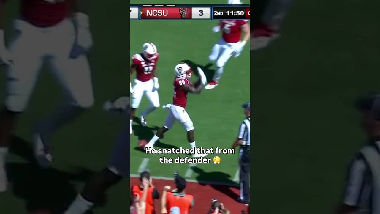 That was an aggressive catch 🔥 #ncstate #accfootball #collegefootball