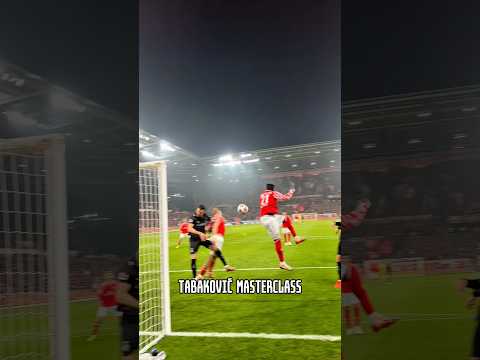 Wie geht der denn rein? 🤯🤩 #diefohlen