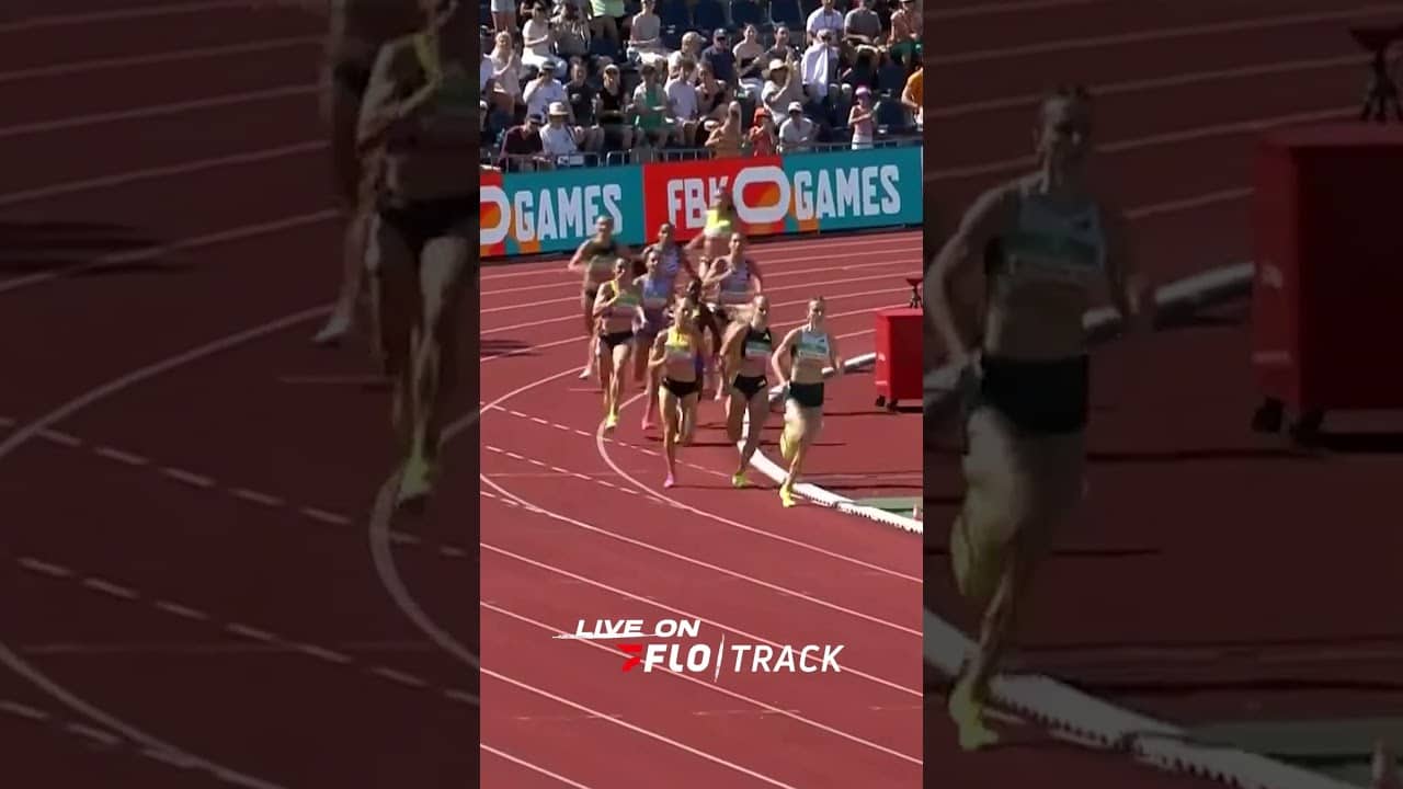 TACTICAL MASTERCLASS BY BOL-BROEDERS