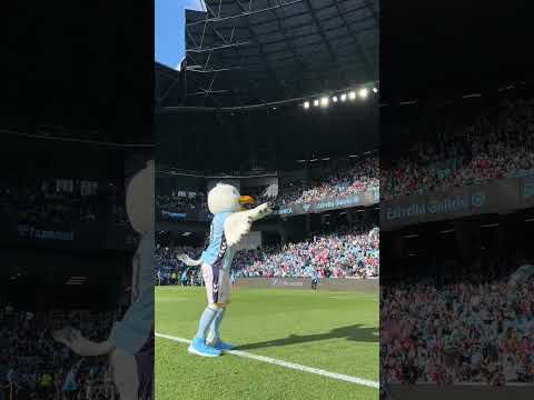 𝐶ℎ𝑖𝑛̃𝑜, 𝐶ℎ𝑖𝑛̃𝑜... 𝐶ℎ𝑖𝑛̃𝑜, 𝐶ℎ𝑖𝑛̃𝑜 🎶 #shorts