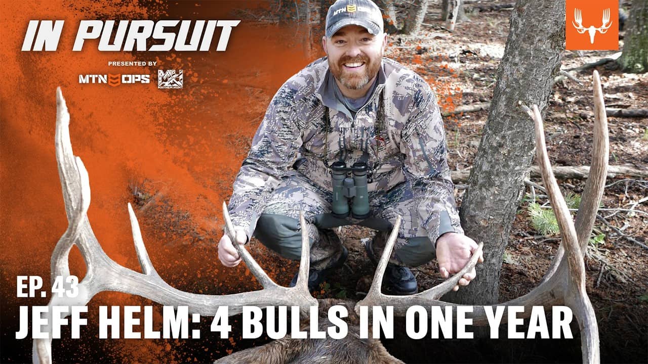 Four Bulls in One Year with Jeff Helm | In Pursuit Ep. 43