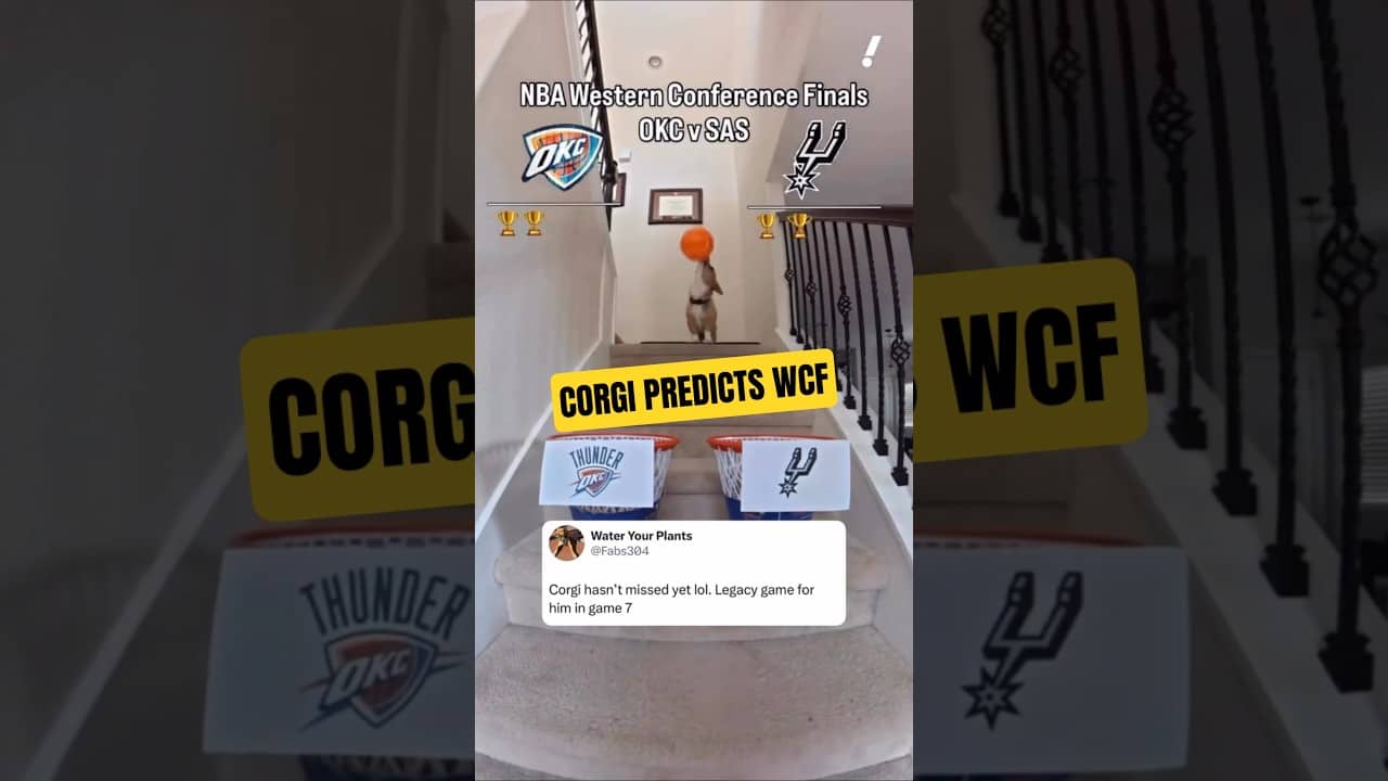 Corgi predicted it PERFECTLY so far😮