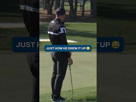 Pars come in all shapes and sizes… 😂