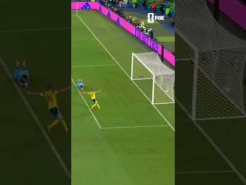 Alexander Isak came to play in his first FIFA World Cup match 🇸🇪