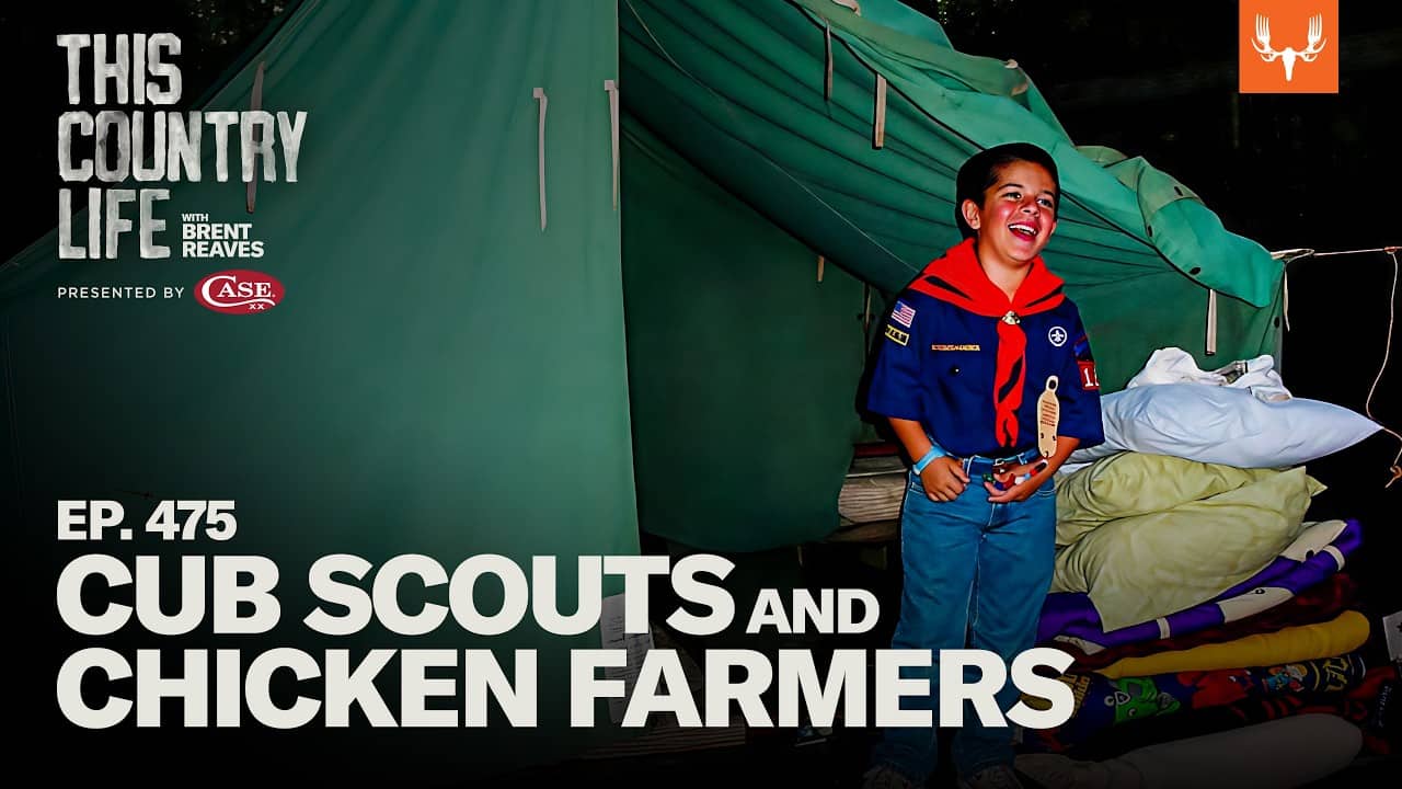 Cub Scouts and Chicken Farmers | This Country Life Ep. 475