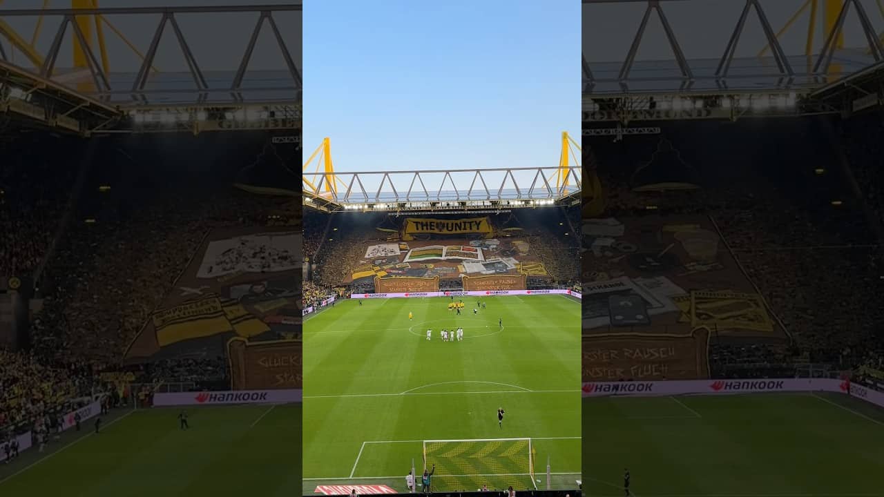 💛 THAT BVB TIFO 😍