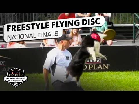 Incredible Dog Challenge 2025: Freestyle Flying Disc National Finals | NBC Sports