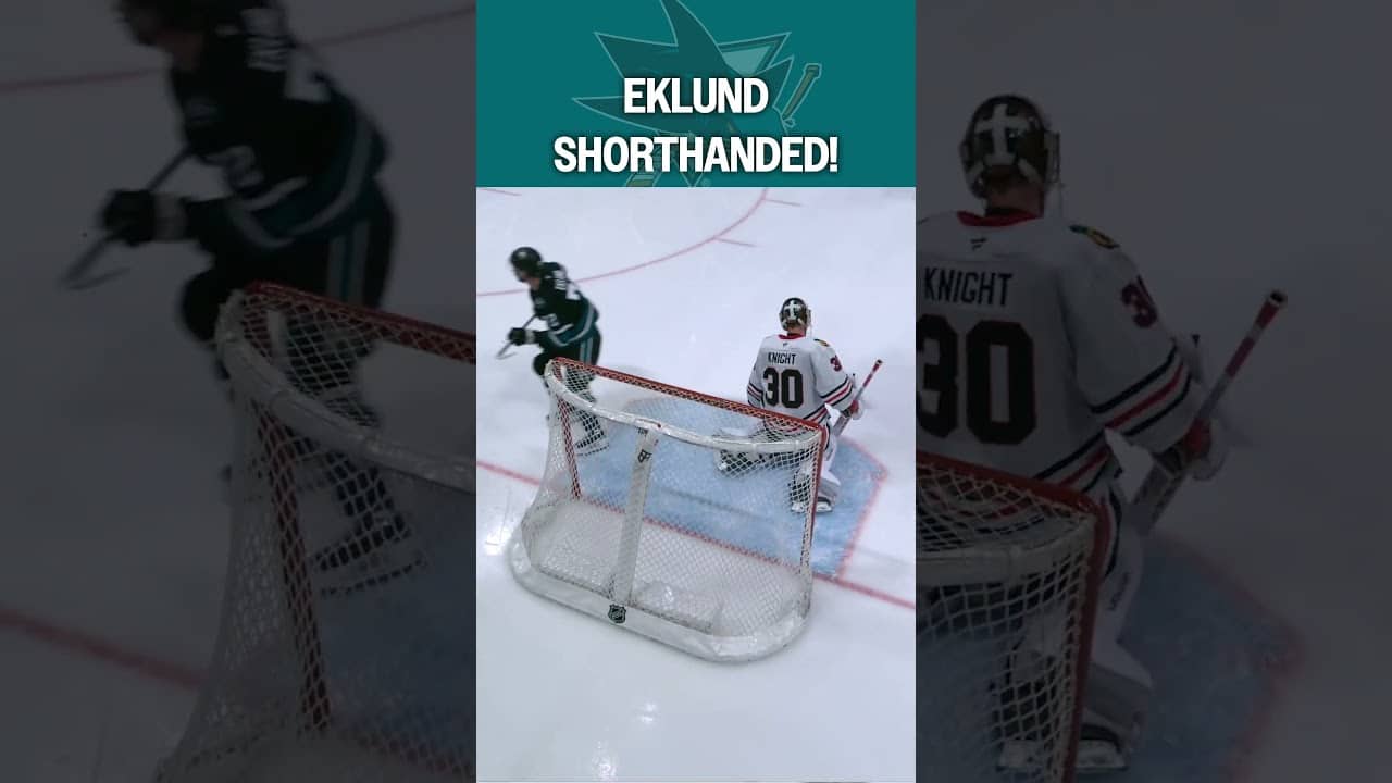 The Shark Tank is ROCKING! 🦈🦈🦈