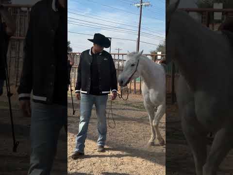 heard it was the Year of the Horse 🐎 #spurs #nba #keldonjohnson #lunarnewyear