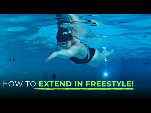 How to Extend in Freestyle!