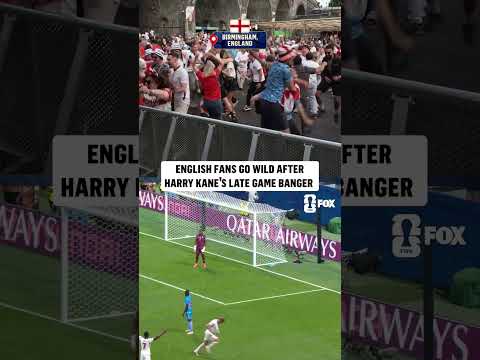Harry Kane's brilliance sent Birmingham into DELERIUM
