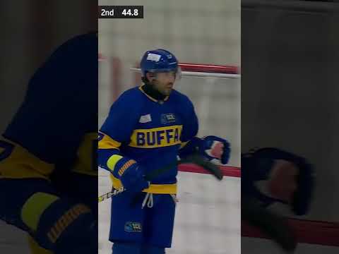 Sword Sheathed 🗡️✅