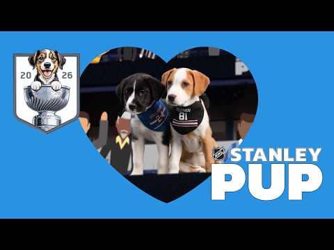 PUPPIES ONLY | The Ultimate 2026 Stanley Pup Championship Edition 🐶 🏆