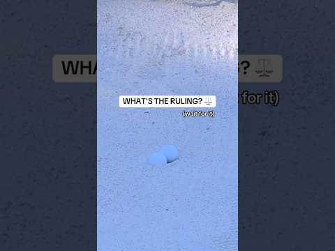 Like two peas in a pod ⚪⚪