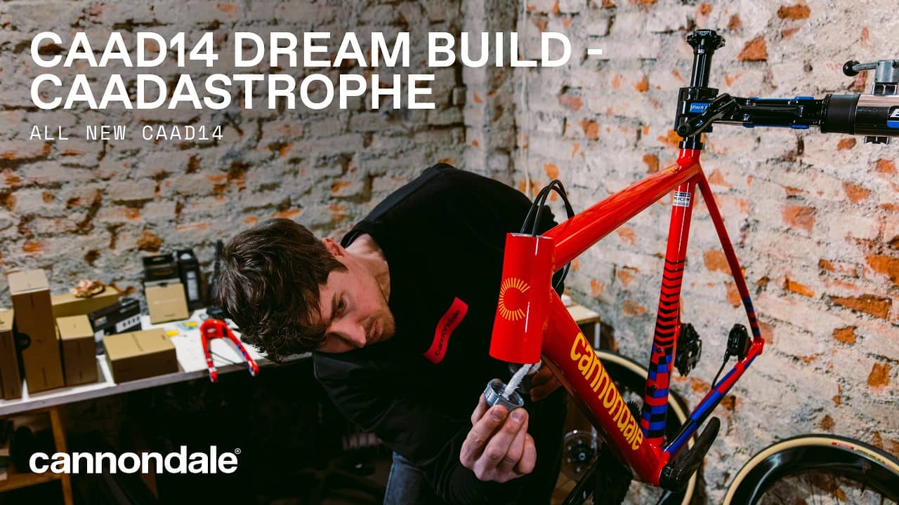 CAAD14 Dream Build I CAADASTROPHE