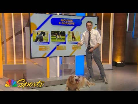 National Dog Show: Popular dog trends of 2025 with Steve Kornacki | NBC Sports