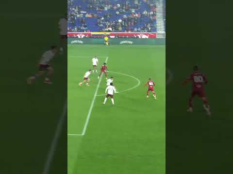 🧤 BIG STOP CAMPAGNOLO 🧤