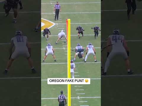 Ducks with the trickery on New Year's Day 🔥