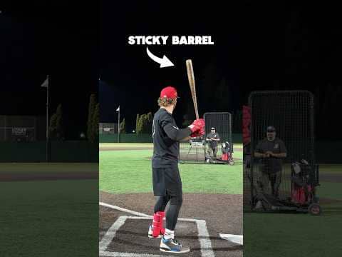STICKY BAT | Does this actually work?