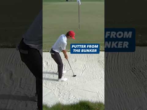 Don't see this every day 😳