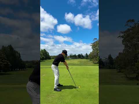Robby Berger swing impersonation