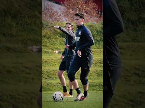 🪄 Tʏʟᴇʀ Mᴏʀᴛᴏɴ ✨